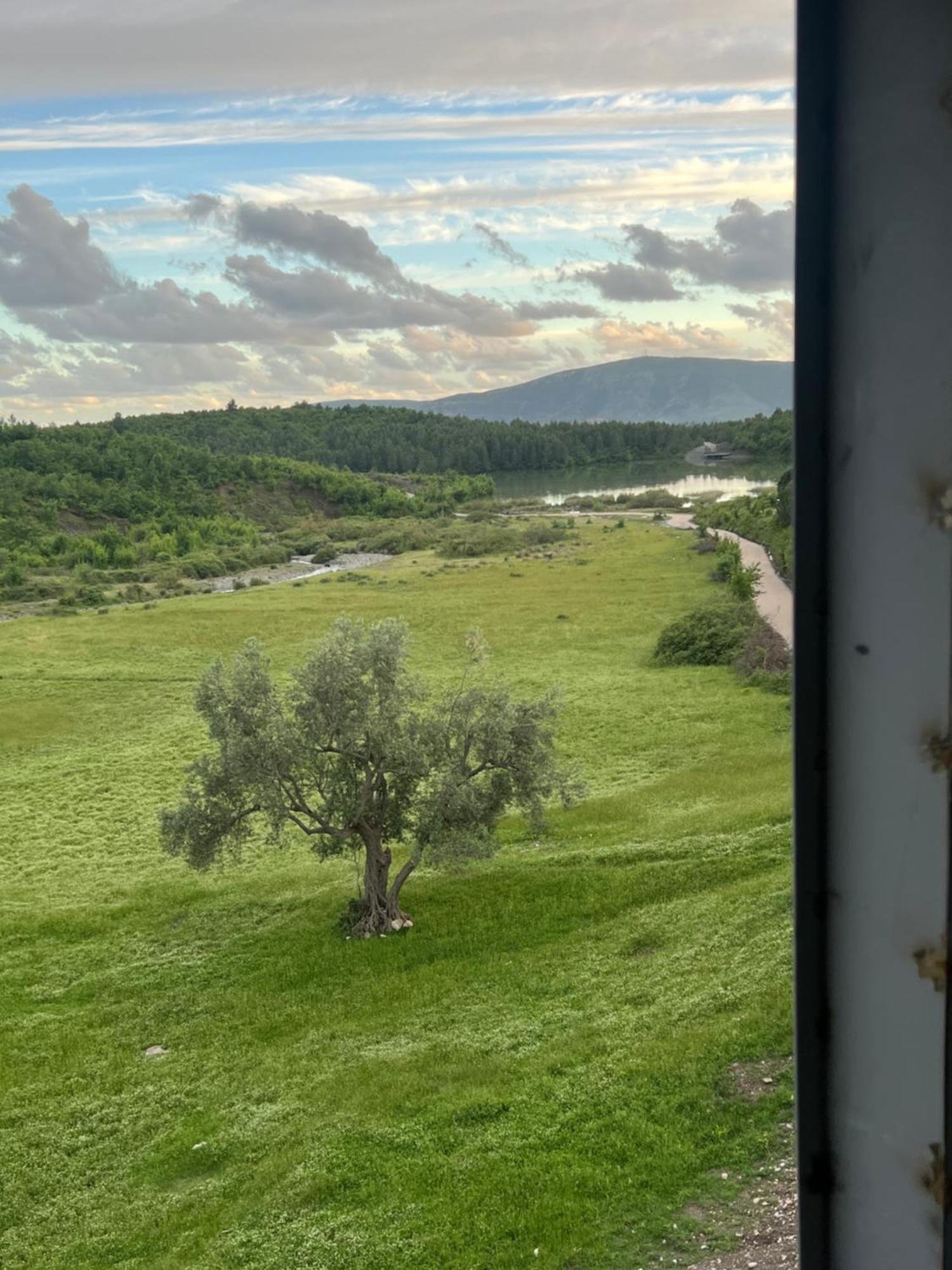 Guesthouse Koleci - Mrizi I Zanave Fishte Exterior foto